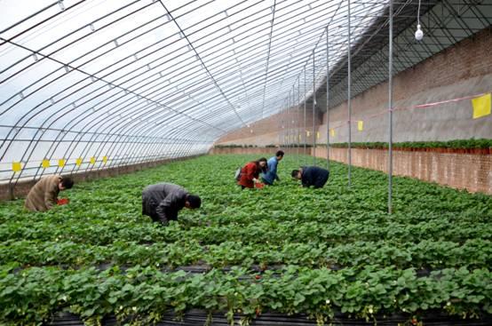 吉安富硒水果(江西富硒水)-硒宝网
