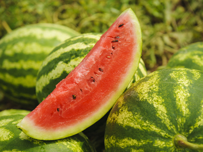 富硒水果南瓜(南瓜水果富硒含量高吗)-硒宝网