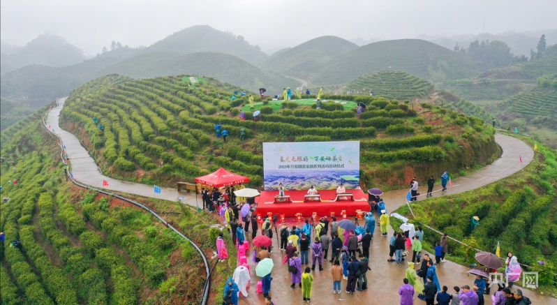南阳富硒水果（南阳水果富硒基地在哪）-硒宝网