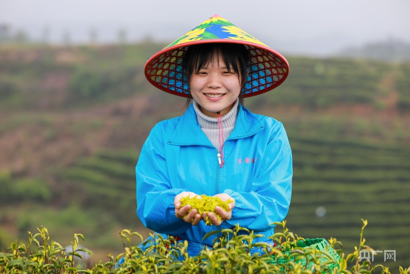 南阳富硒水果（南阳水果富硒基地在哪）-硒宝网