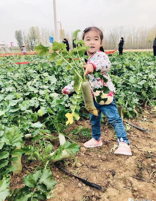 胶州富硒水果(富硒果园)-硒宝网