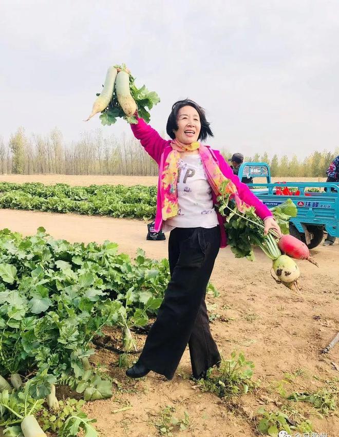 胶州富硒水果(富硒果园)-硒宝网