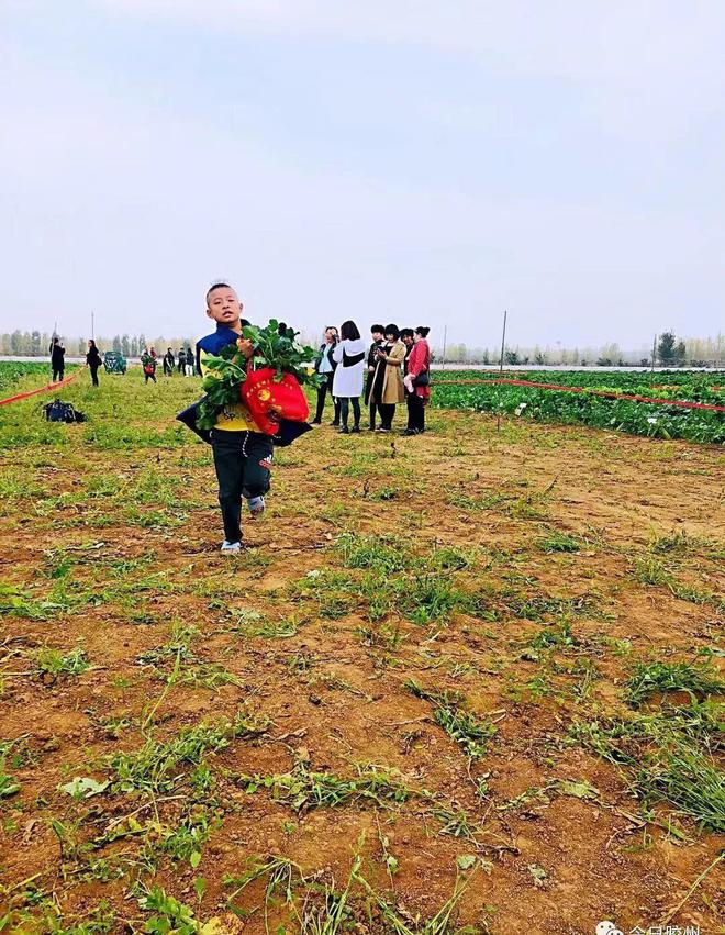 胶州富硒水果(富硒果园)-硒宝网
