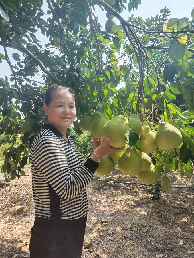 新鲜富硒水果（富硒水果的好处）-硒宝网