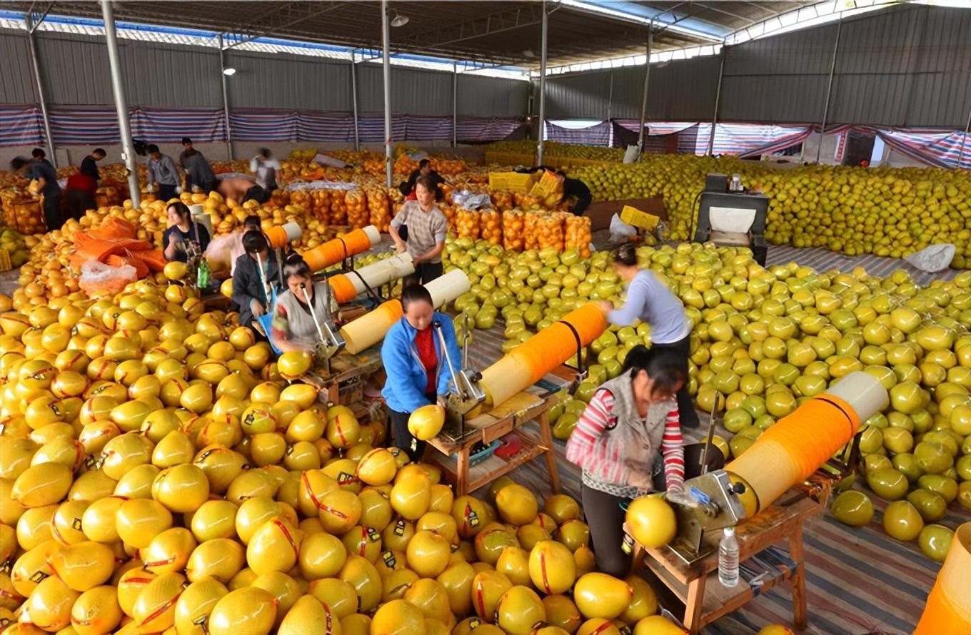 新鲜富硒水果（富硒水果的好处）-硒宝网