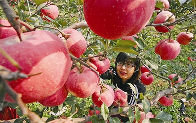 寻乌富硒水果（富硒水果的好处）-硒宝网