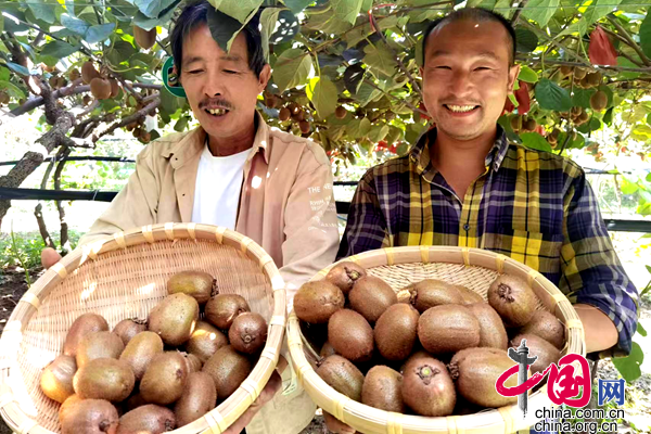 南阳富硒水果（河南南阳水果）-硒宝网