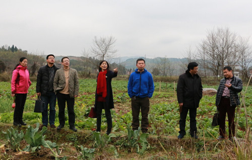 永州富硒水果(富硒水果功能及作用)-硒宝网