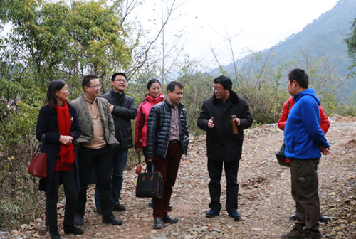 永州富硒水果(富硒水果功能及作用)-硒宝网