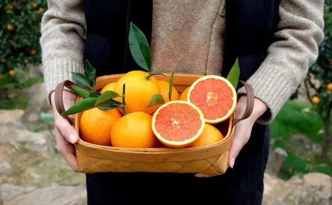 富硒水果番茄(番茄水果富硒含量高吗)-硒宝网