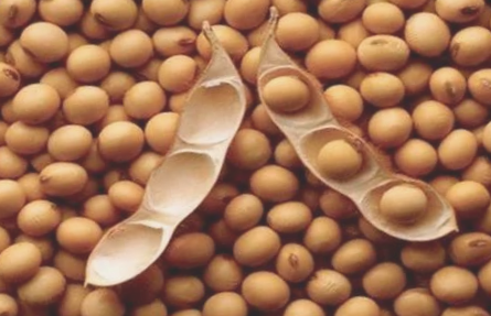 绥化富硒水果（全国富硒食品之乡绥棱）-硒宝网