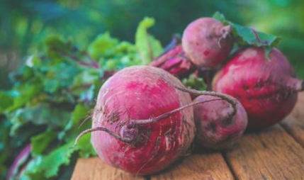 绥化富硒水果（全国富硒食品之乡绥棱）-硒宝网