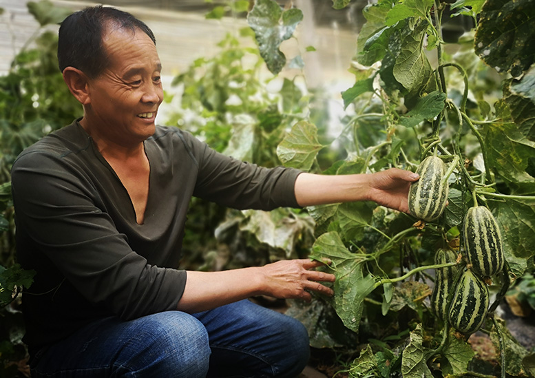 海西富硒水果(富硒水果硒含量标准)-硒宝网