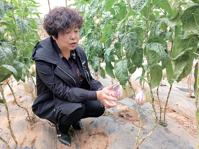 海西富硒水果(富硒水果硒含量标准)-硒宝网