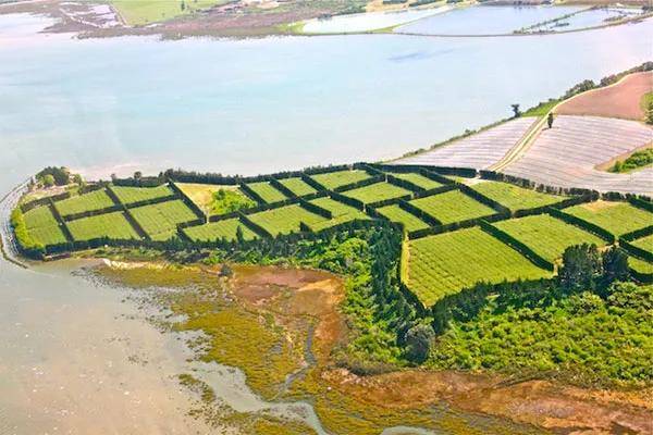 富硒水果小镇(富硒果园)-硒宝网