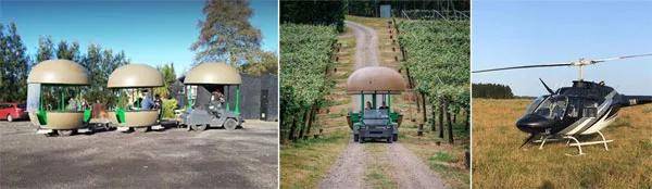 富硒水果小镇(富硒果园)-硒宝网