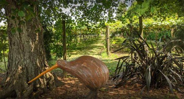 富硒水果小镇(富硒果园)-硒宝网