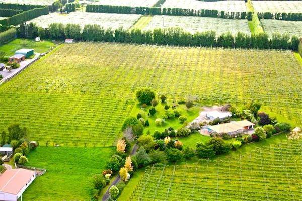 富硒水果小镇(富硒果园)-硒宝网