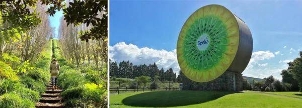 富硒水果小镇(富硒果园)-硒宝网