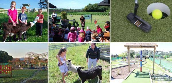 富硒水果小镇(富硒果园)-硒宝网
