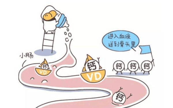 7一8岁儿童补钙要补多久(儿童补钙需要吃钙片吗)-硒宝网