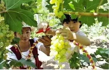 连州富硒水果(连城富硒)-硒宝网