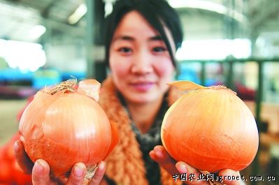 绵阳富硒水果(绵阳水果地带)-硒宝网
