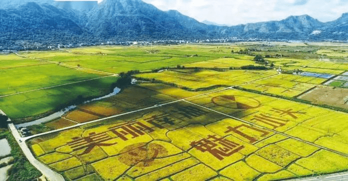 富硒水果小镇（富硒水果的标准是多少）-硒宝网