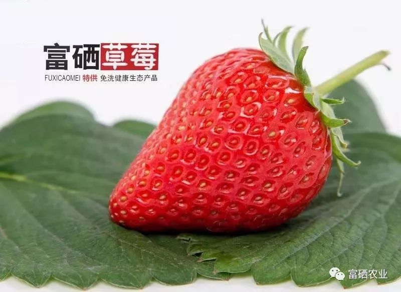 富硒皇后水果（皇后的水果）-硒宝网