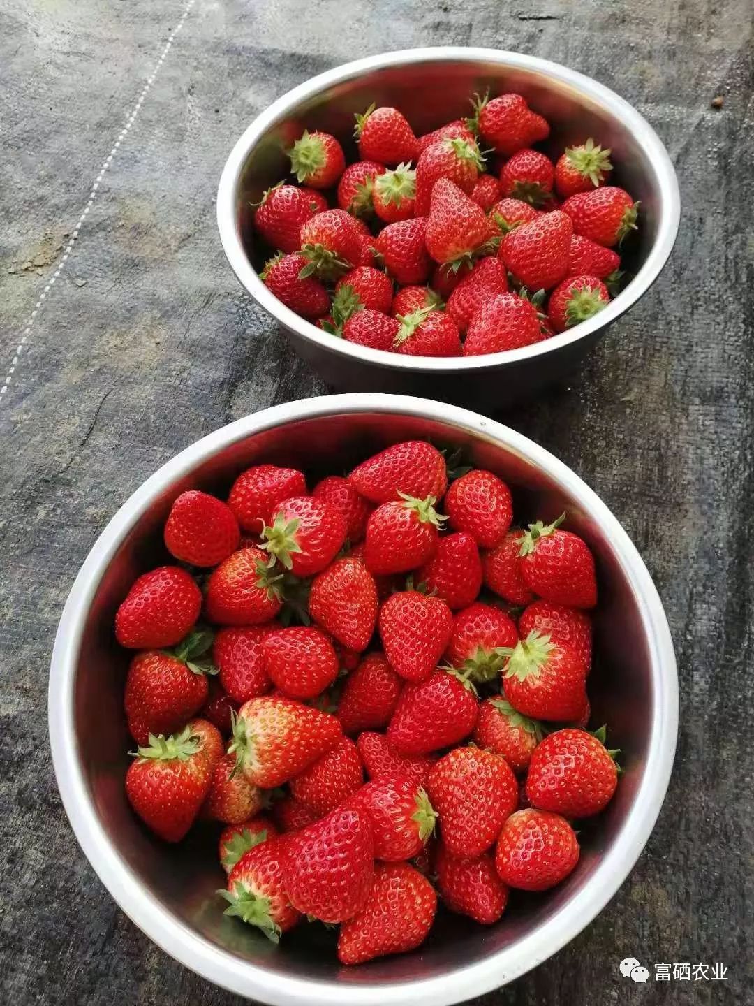 富硒皇后水果（皇后的水果）-硒宝网