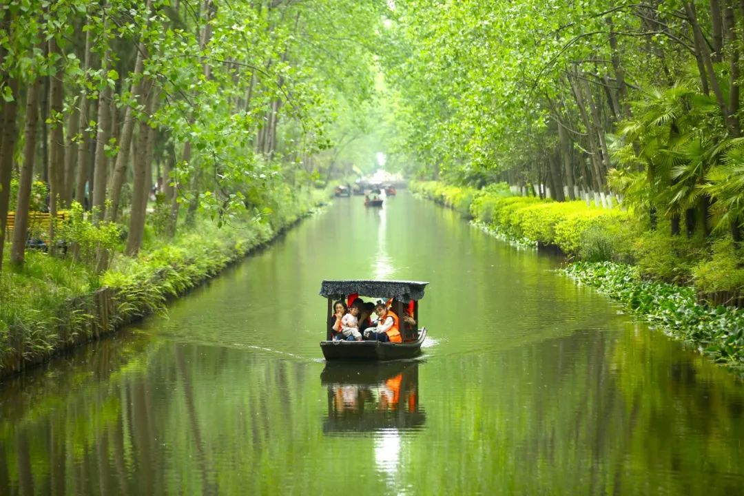 山南富硒水果(富硒水果是什么意思)-硒宝网
