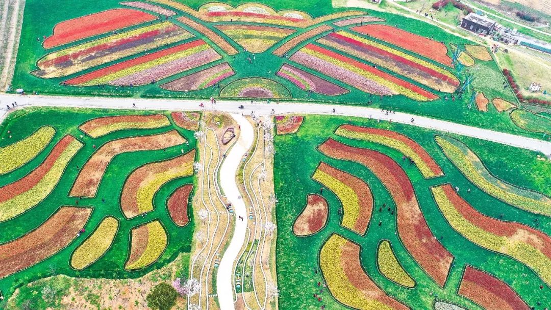 山南富硒水果(富硒水果是什么意思)-硒宝网