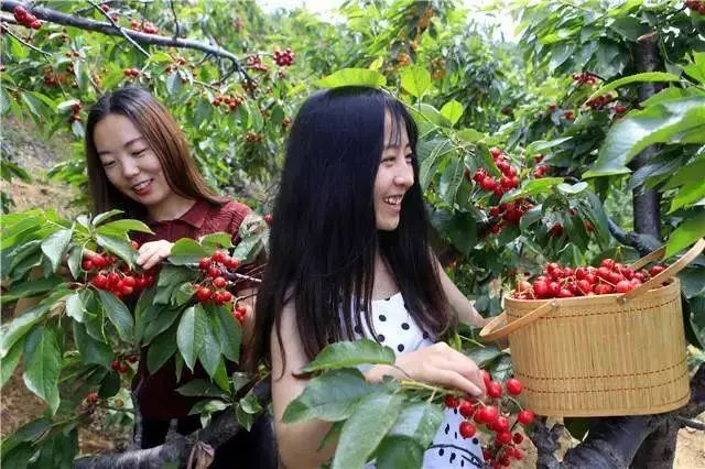 山南富硒水果(富硒水果是什么意思)-硒宝网