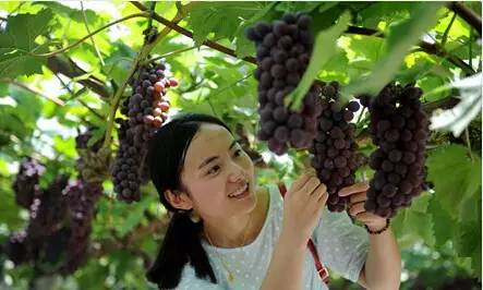 山南富硒水果(富硒水果是什么意思)-硒宝网