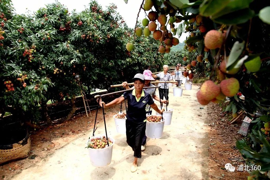 国外富硒水果(水果国外富硒产地)-硒宝网