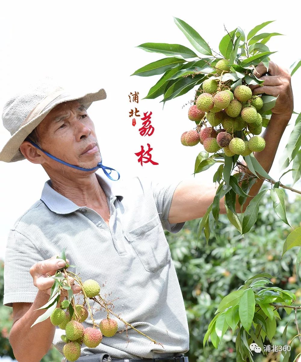 国外富硒水果(水果国外富硒产地)-硒宝网