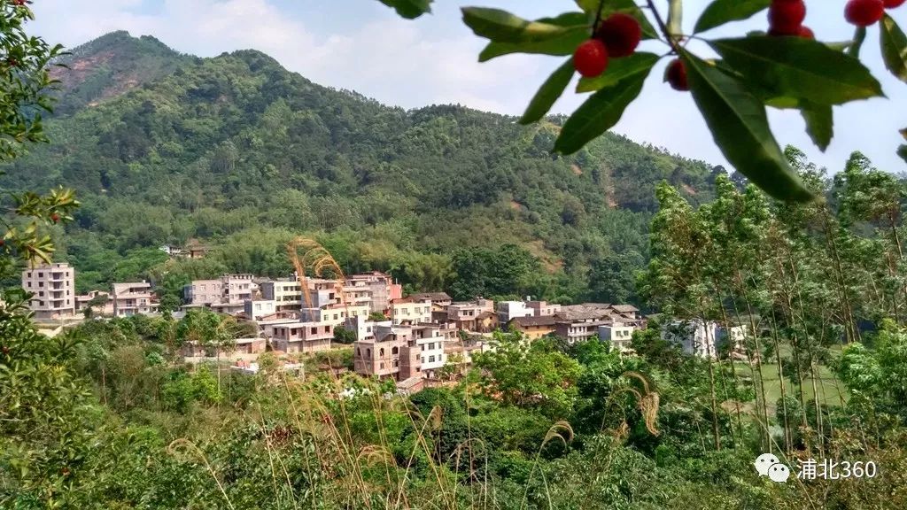 国外富硒水果(水果国外富硒产地)-硒宝网