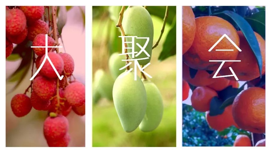 国外富硒水果(水果国外富硒产地)-硒宝网