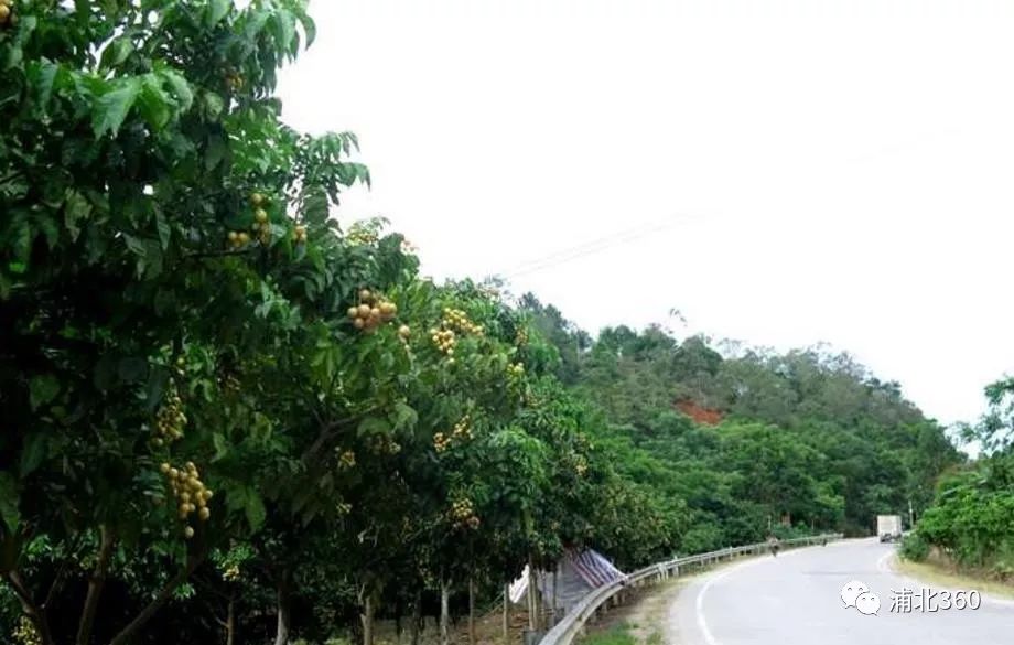 国外富硒水果(水果国外富硒产地)-硒宝网