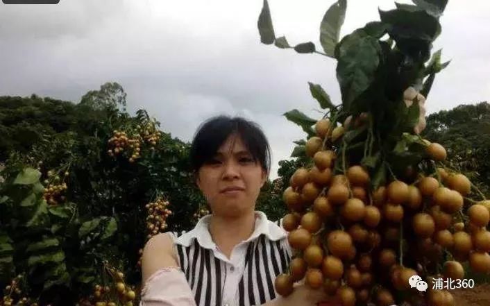 国外富硒水果(水果国外富硒产地)-硒宝网