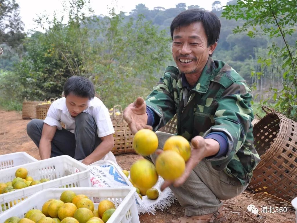国外富硒水果(水果国外富硒产地)-硒宝网