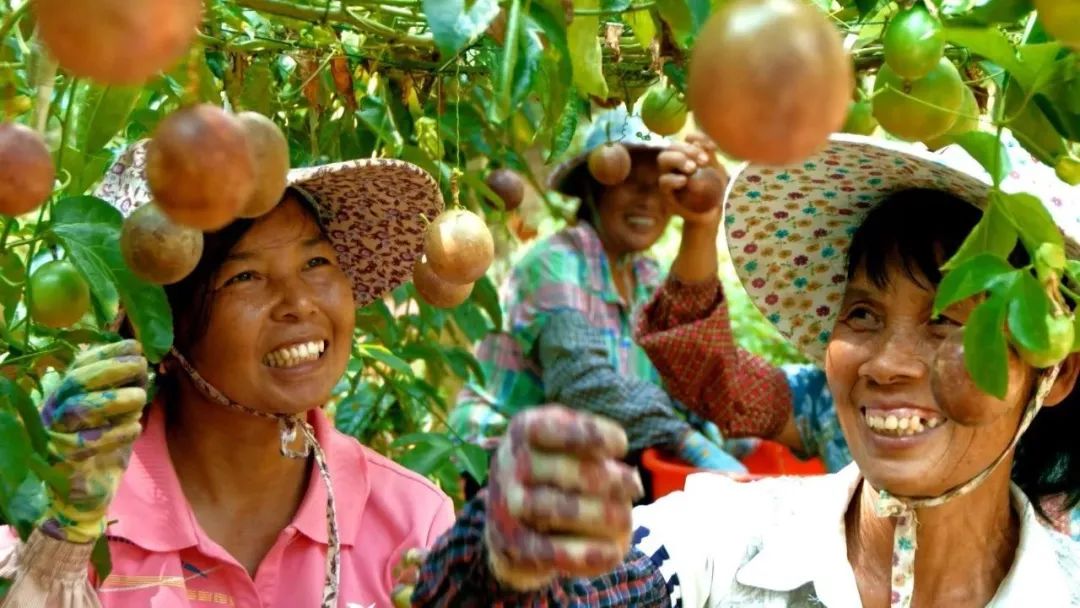 国外富硒水果(水果国外富硒产地)-硒宝网