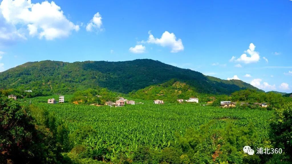 国外富硒水果(水果国外富硒产地)-硒宝网