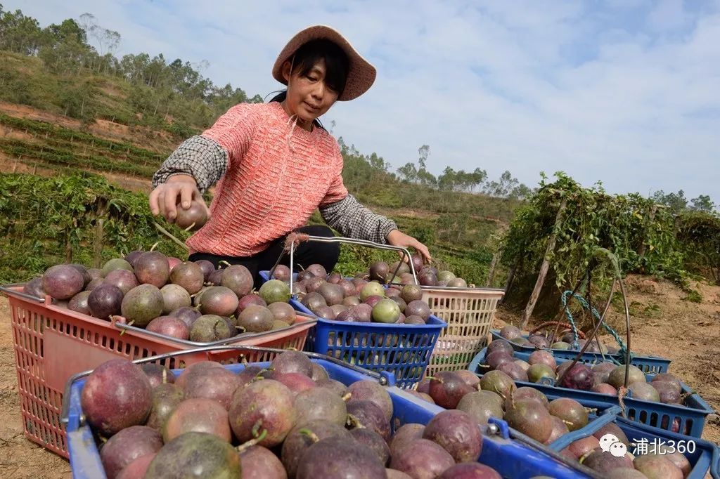 国外富硒水果(水果国外富硒产地)-硒宝网