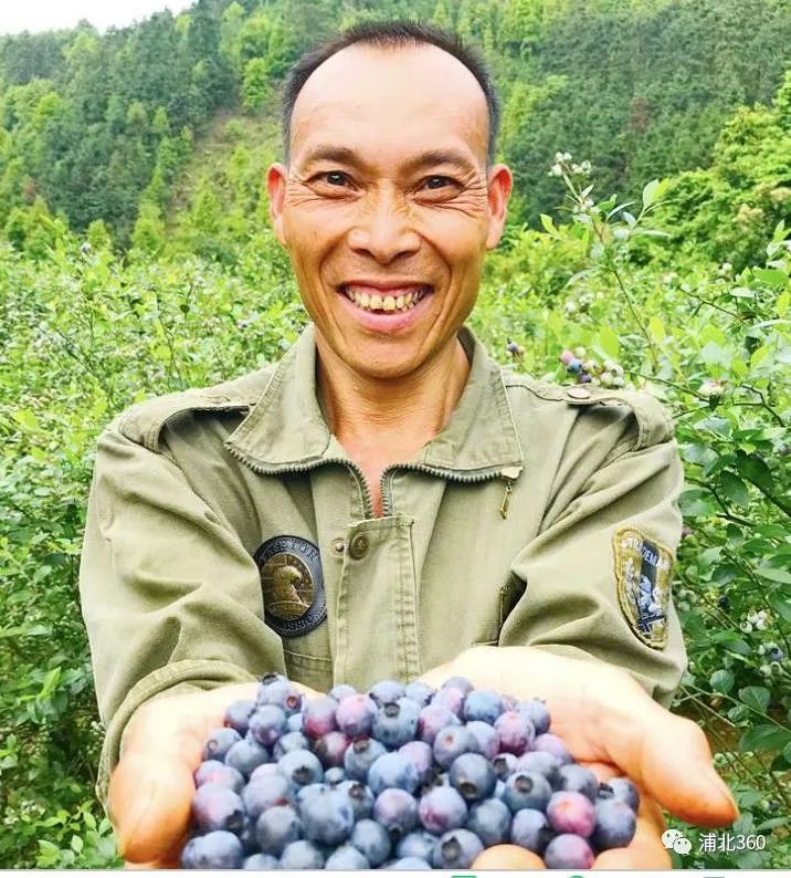 国外富硒水果(水果国外富硒产地)-硒宝网