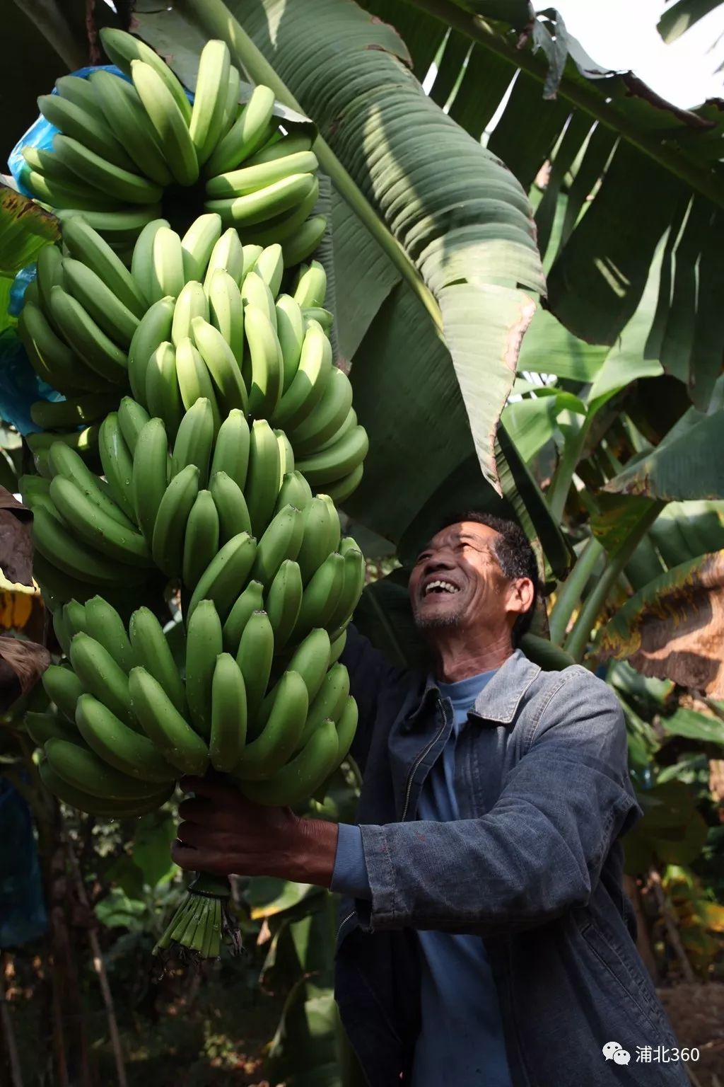 国外富硒水果(水果国外富硒产地)-硒宝网