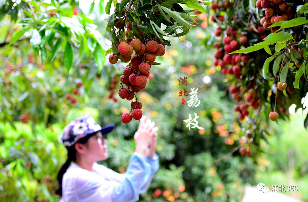国外富硒水果(水果国外富硒产地)-硒宝网