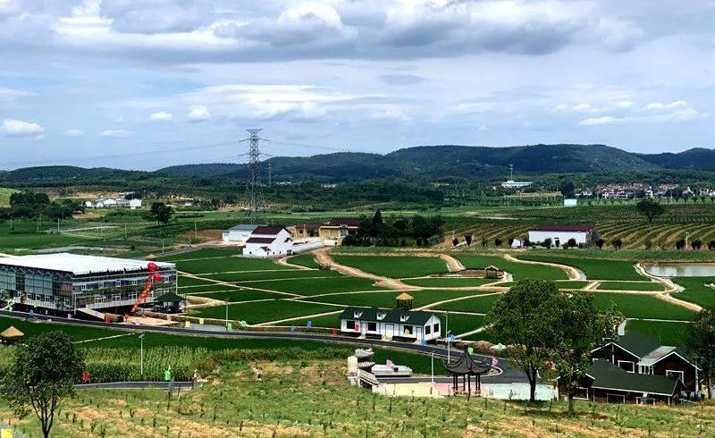 富硒水果培育(富硒水果种植技术)-硒宝网