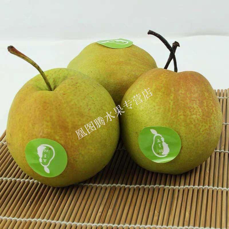 泉州富硒水果（泉州禾富水果批发市场电话）-硒宝网