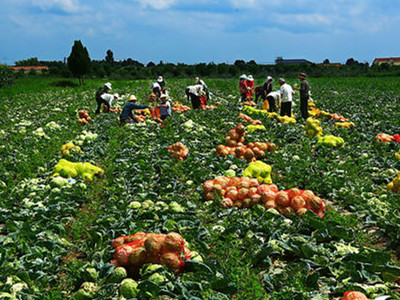 镇江富硒水果（镇江扶贫水果）-硒宝网